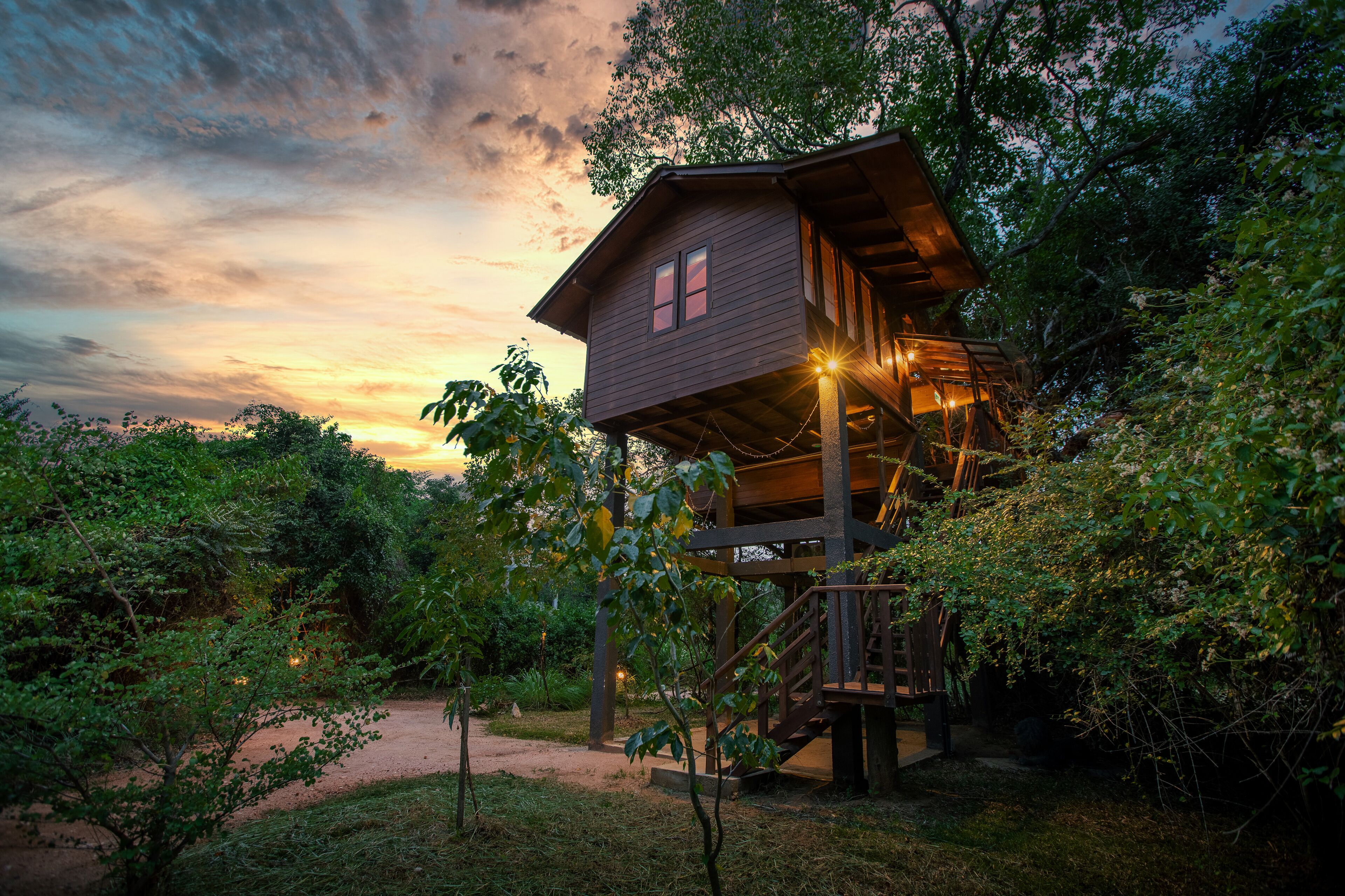 BIRD'S NEST (TREE HOUSE) | Minibar, in-room safe, desk, blackout curtains
