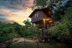 Minibar, in-room safe, desk, blackout curtains - Sigiriya King's Resort (Sigiriya)