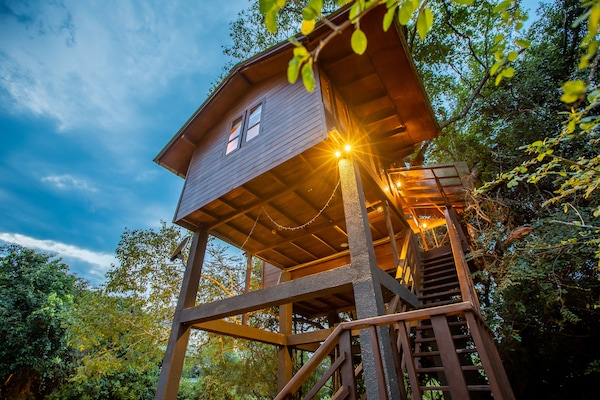 Deluxe Tree House, 1 Katil Ratu (Queen), Non Smoking, Mountain View | Bar mini, peti besi dalam bilik, meja, langsir/tirai gelap terus