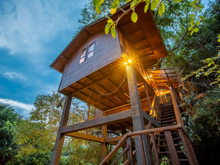 BIRD'S NEST (TREE HOUSE)