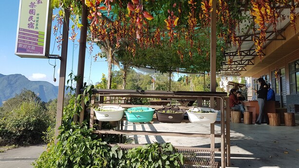 A covered outdoor seating area with planters and a signboard. - Xu Jia Chayuan B&B (Meishan)