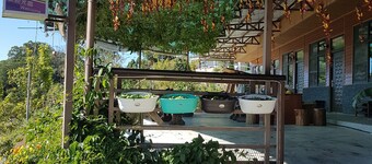 Xu Jia Chayuan B&B