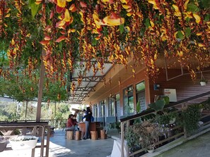 Restaurant - Xu Jia Chayuan B&B (Meishan)
