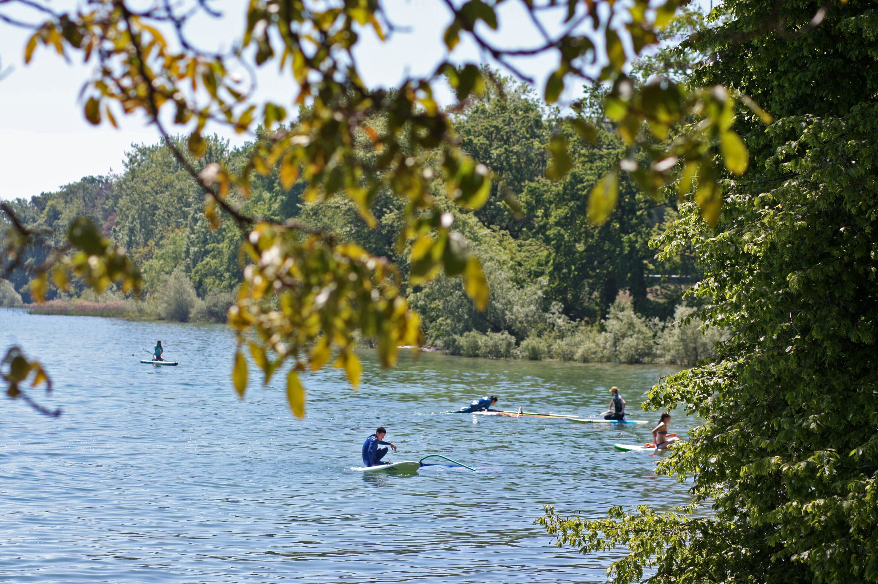 A lake with people paddling and standing on surfboards.