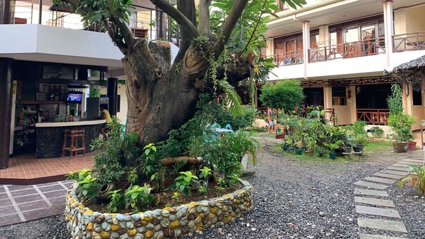 Une cour avec un grand arbre, un espace bar et un bâtiment doté de balcons.