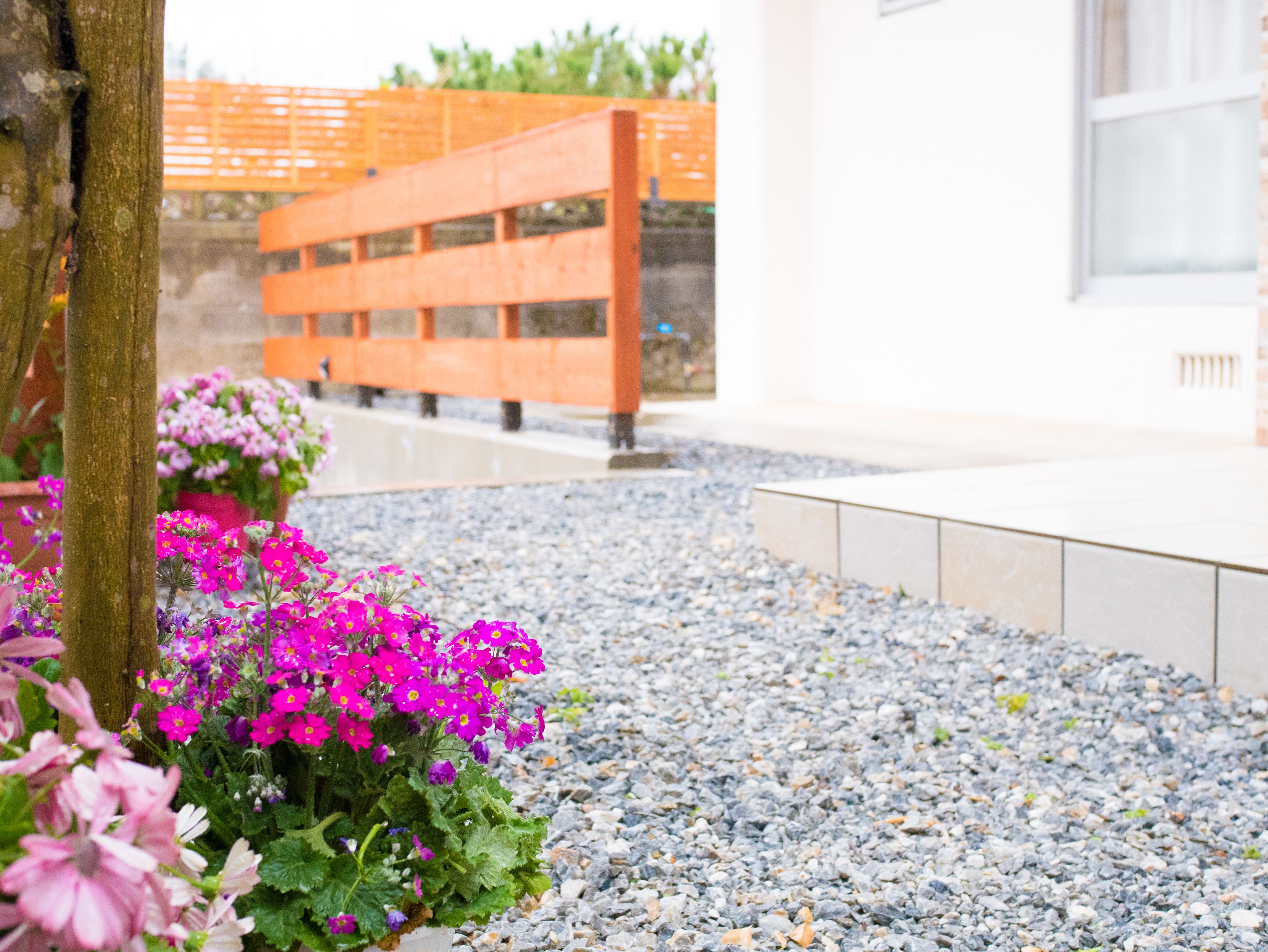 Khuôn viên nơi lưu trú