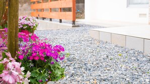 Un sendero de grava conduce a un banco de madera, rodeado de flores rosas vibrantes y follaje.