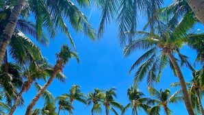A beach with palm trees and clear blue water. - Rob and Fred's Resort (Boracay Island)