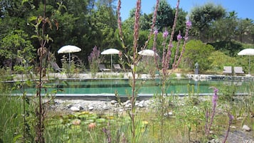 Piscina externa sazonal, guarda-sóis, espreguiçadeiras