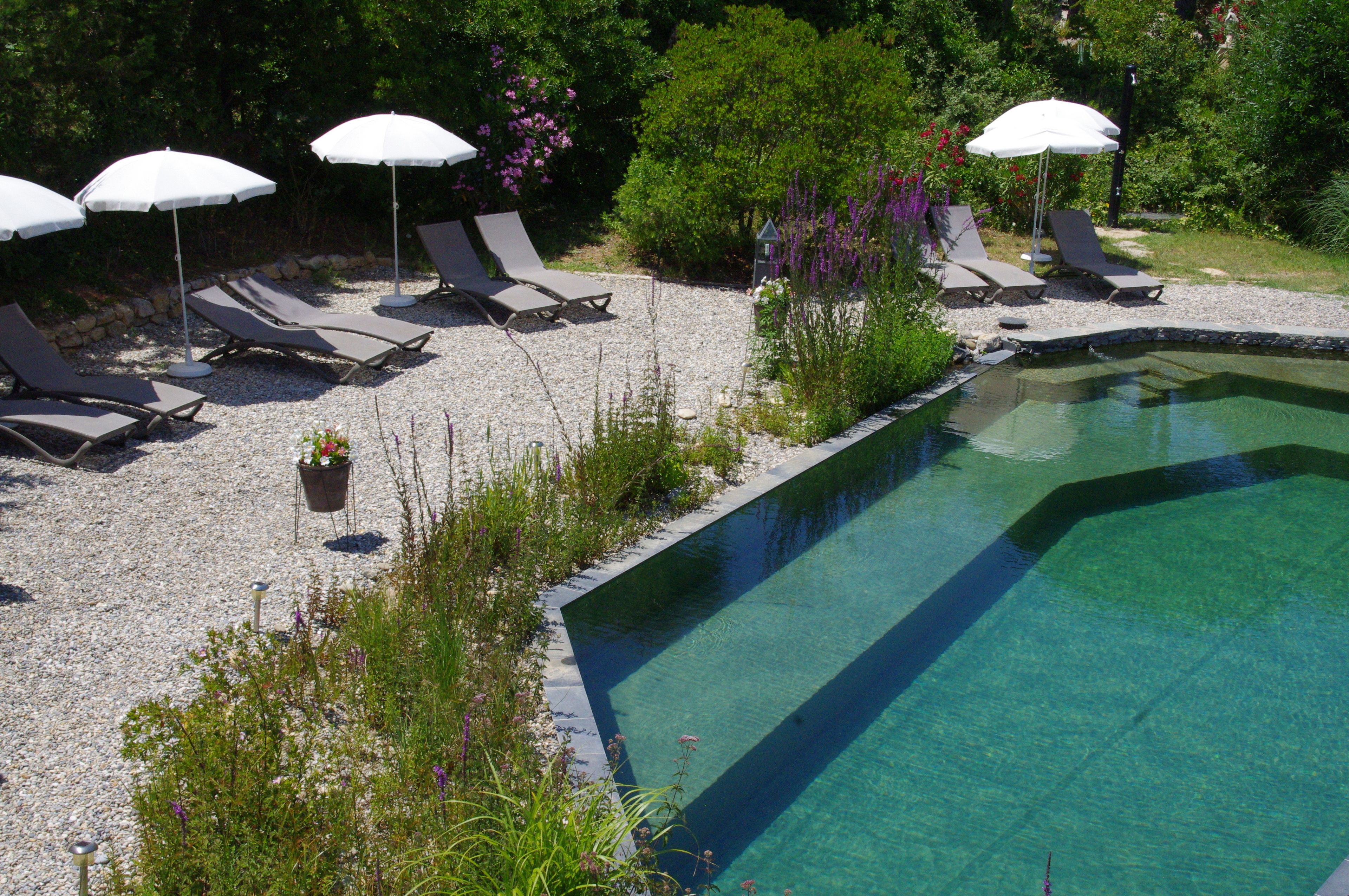 Outdoor pool, pool umbrellas, sun loungers