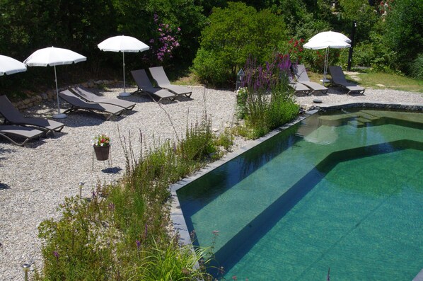 Seasonal outdoor pool, pool umbrellas, sun loungers