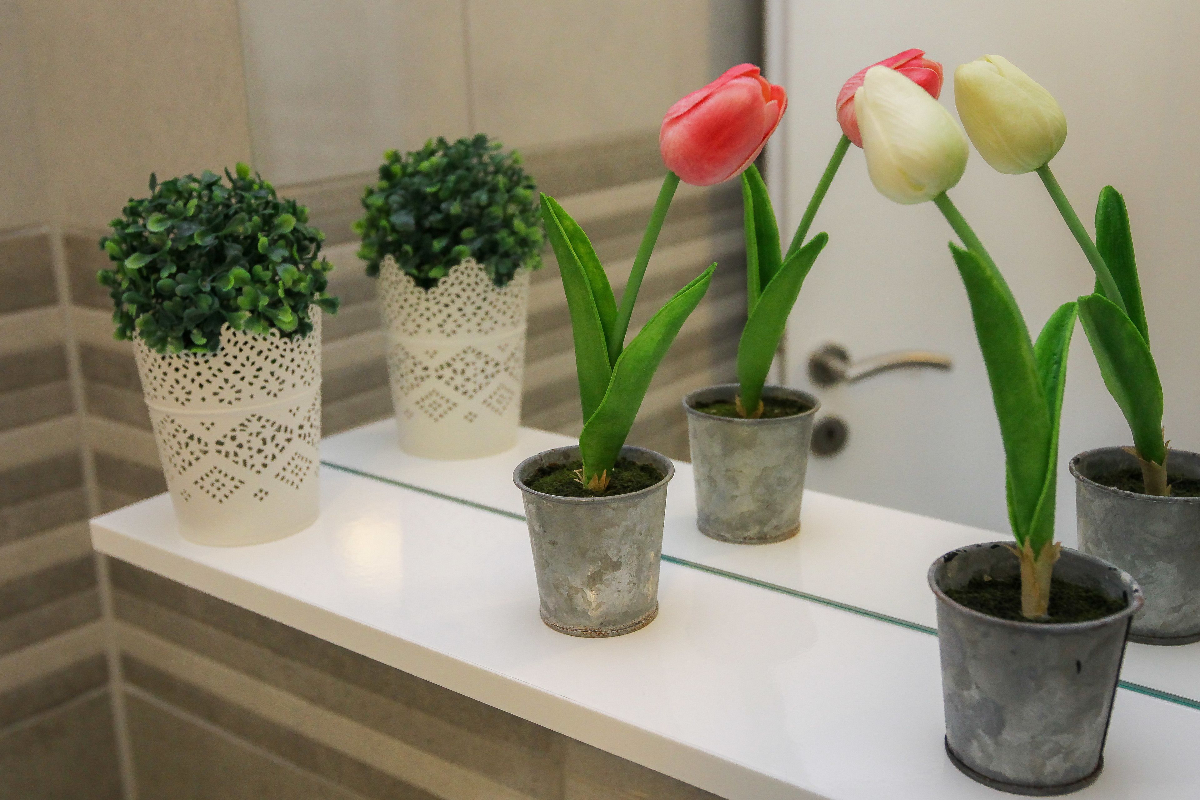 Une salle de bain avec un comptoir blanc où sont disposées des plantes en pot et un espace douche.