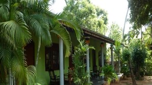 A green building with a porch, surrounded by palm trees and other vegetation. - Regina Holiday Home (Thissamaharama)