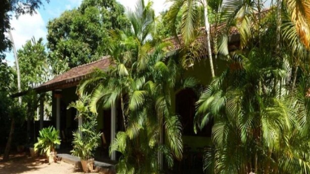A rustic building surrounded by lush greenery, including palm trees and other tropical plants. - Regina Holiday Home (Thissamaharama)