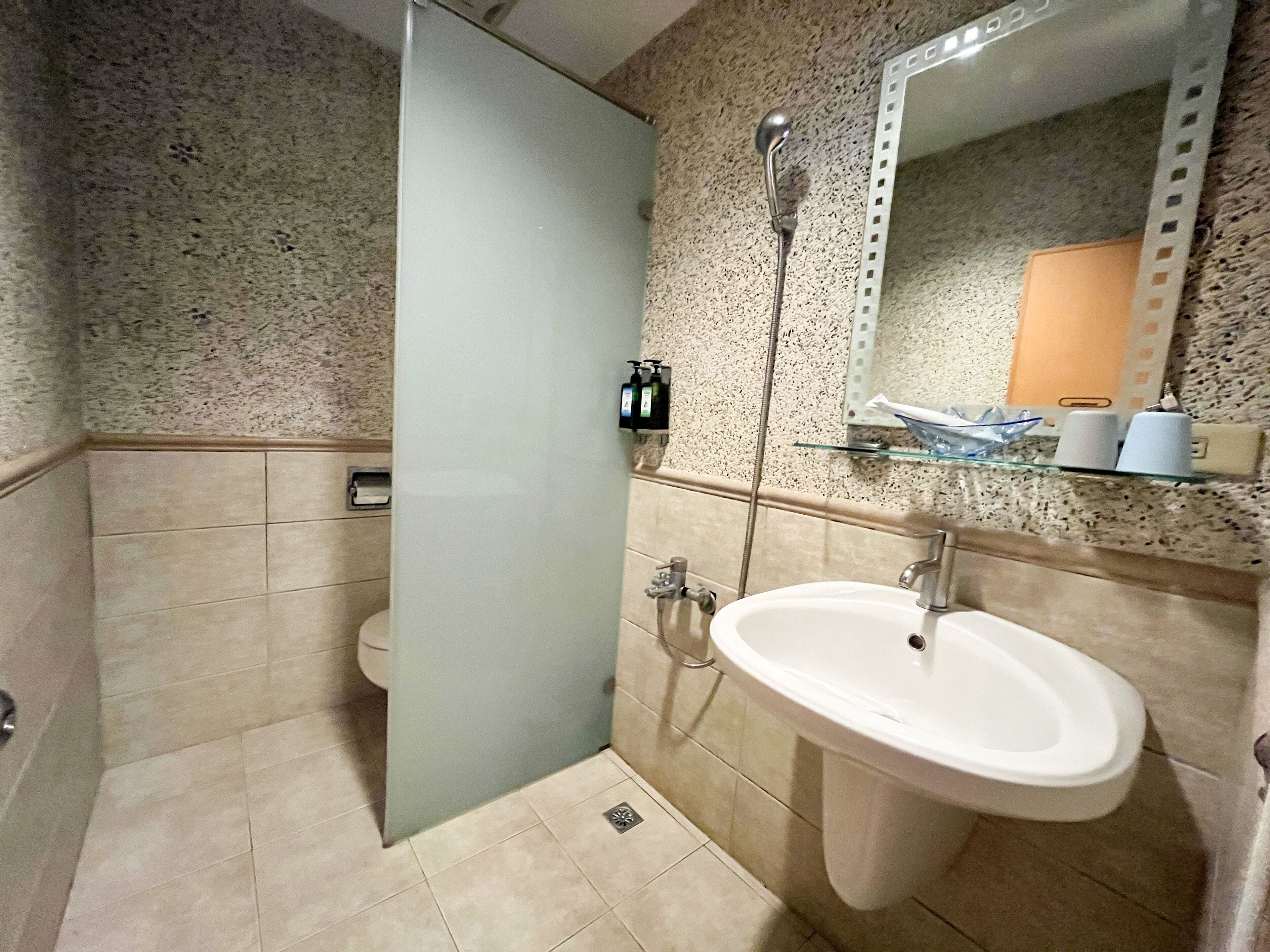 Un bagno con doccia, WC, lavandino e specchio.