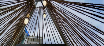 OYO 16630 Home Cocoa Tree Residency