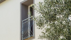 A building with a window featuring a decorative metal grille and a tree with dense foliage in the foreground. - Apartments in City Center Ventus (Novalja)