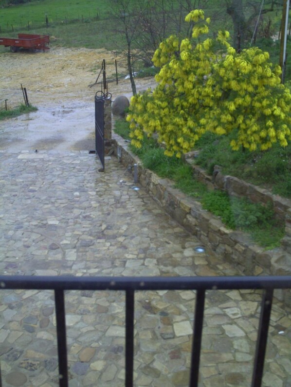 A stone-paved area with a metal railing, a yellow flowering bush, and a red trailer in the background.