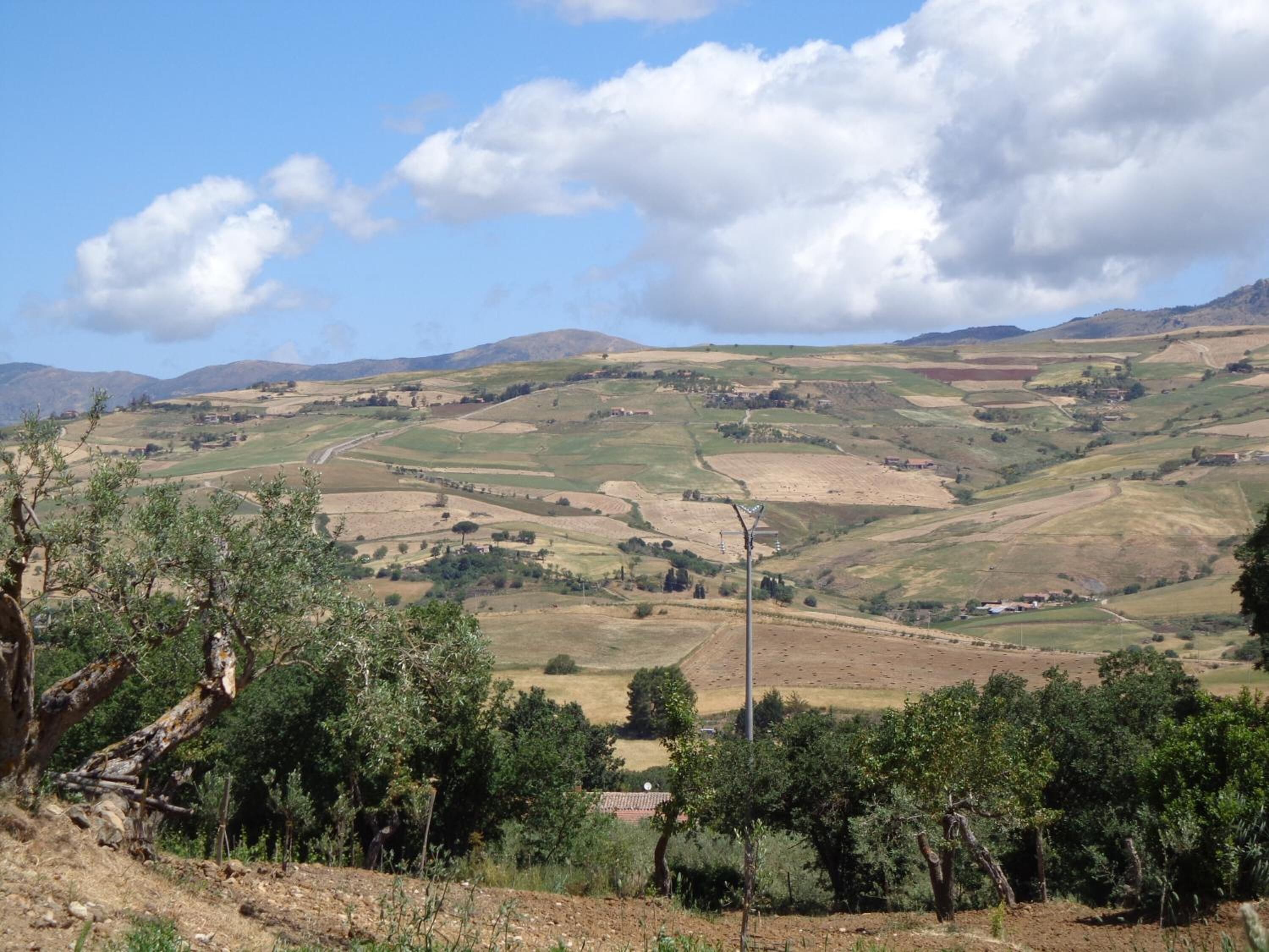 A rural landscape with rolling hills, scattered trees, and a clear sky.