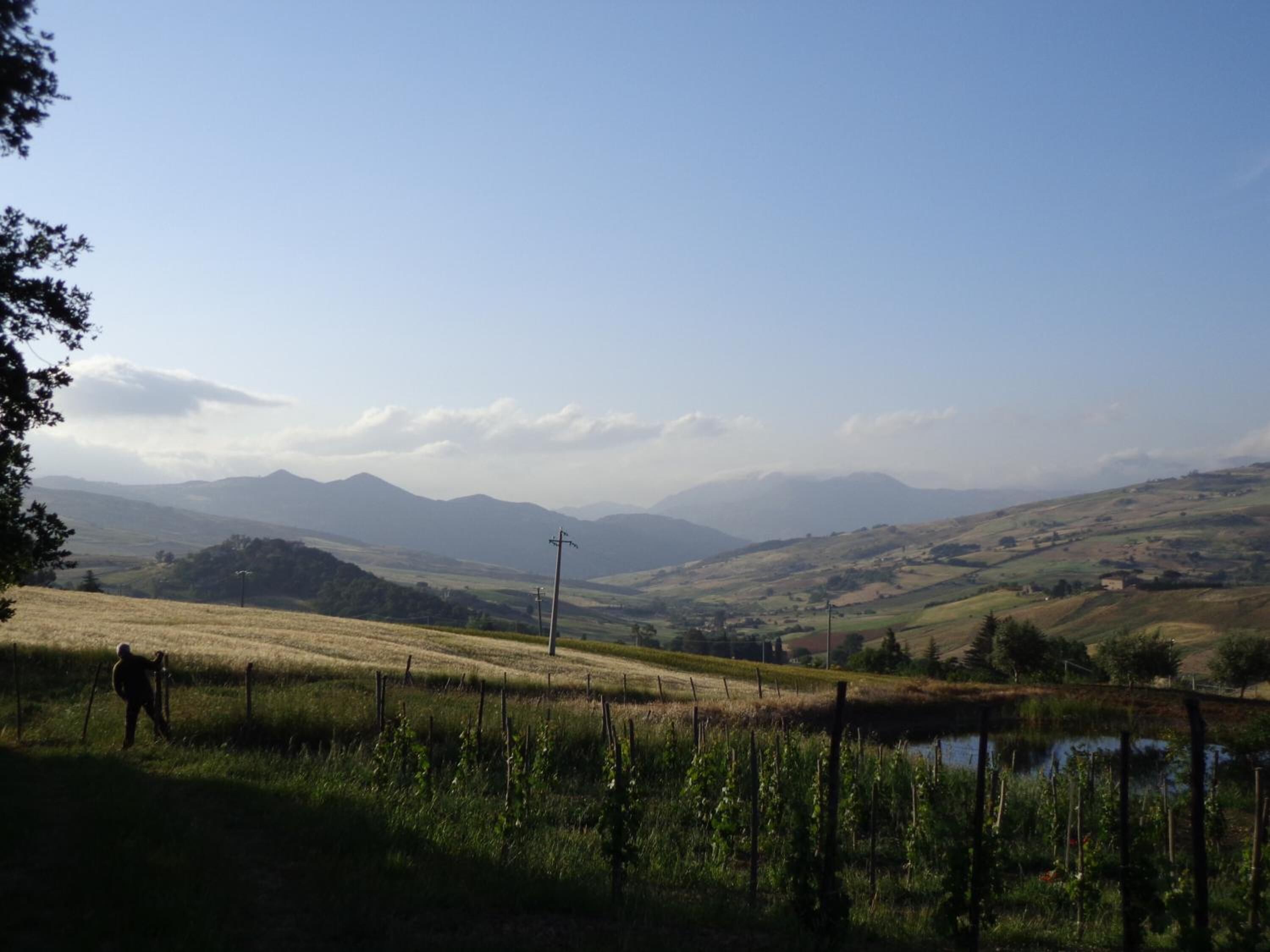 A rural landscape with rolling hills, a small body of water, and a person in the foreground.