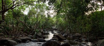 Tropicalfolks Campers Lodge