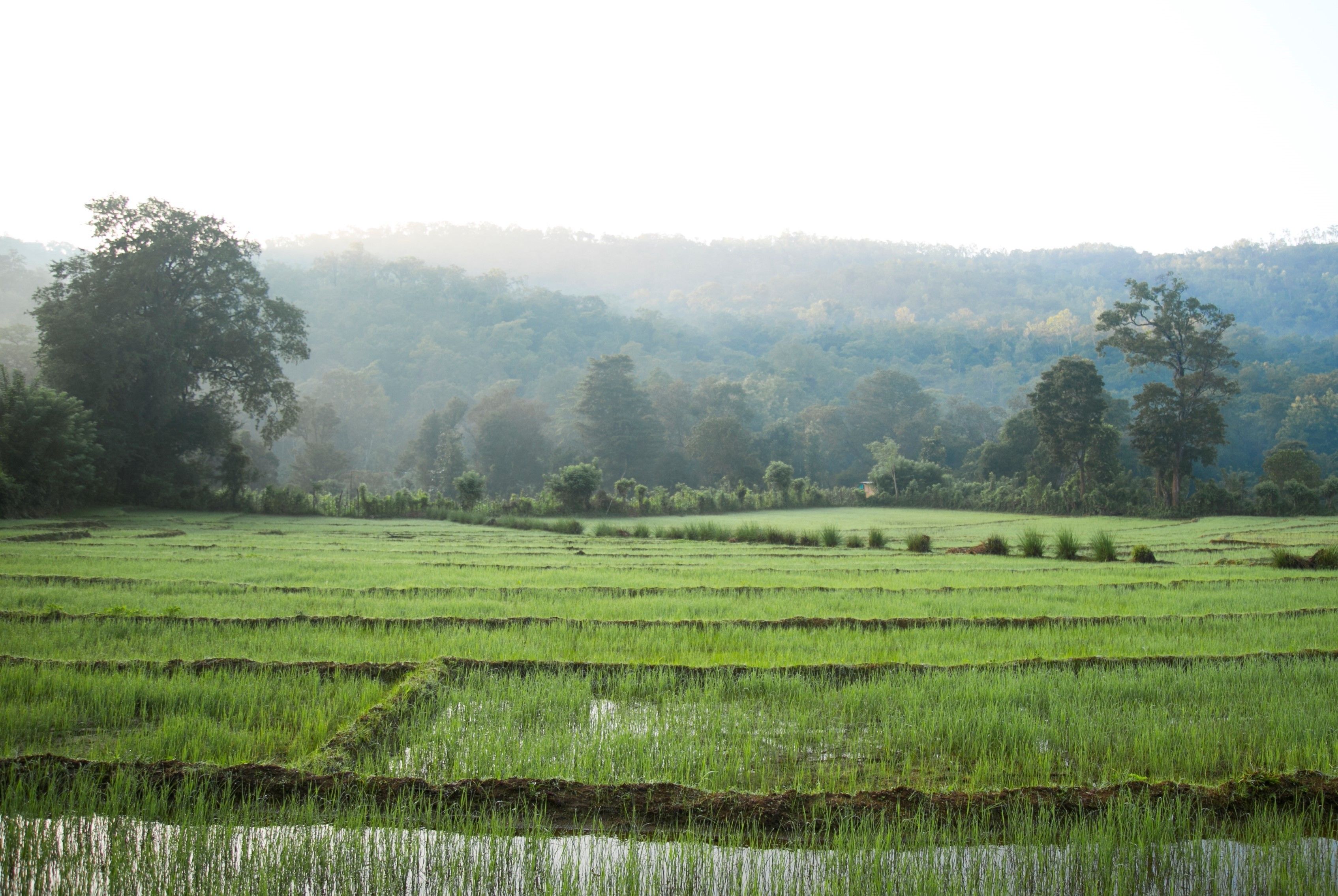 Pemandangan sekitar dari properti