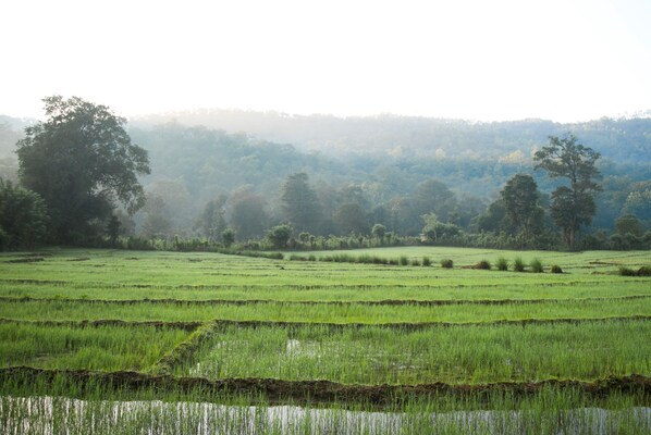 Blick auf die Umgebung