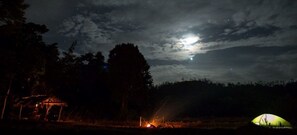 Standard Tent | View from room