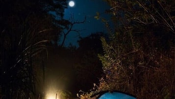 Standard Tent