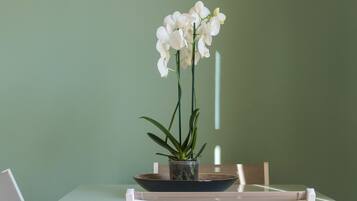 Una mesa de comedor con sillas, una orquídea en maceta y un tazón.