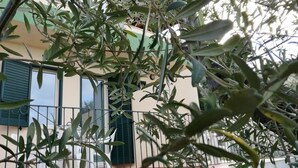 Apartment, 1 Bedroom | Balcony