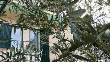 Appartement, 1 chambre | Balcon