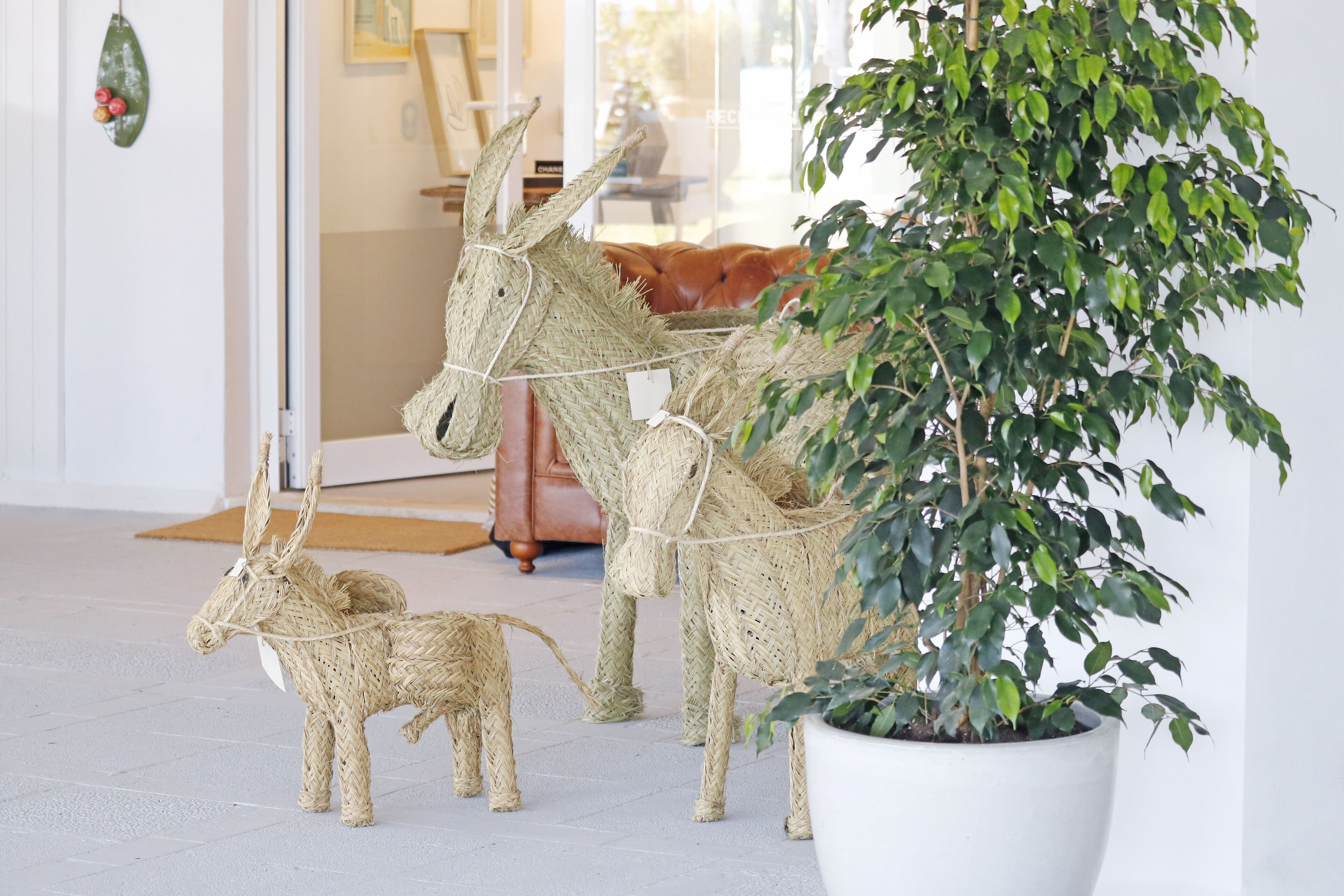 A room with a large potted plant, a wicker donkey sculpture, and a brown leather sofa.
