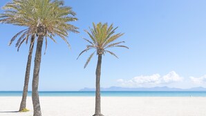 Two palm trees on a beach with a clear sky and distant mountains.