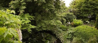 Chambres d’hôtes Au Jardin
