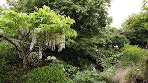 A lush garden with various plants and a small pond. - Chambres d’hôtes Au Jardin (Biscarrosse)