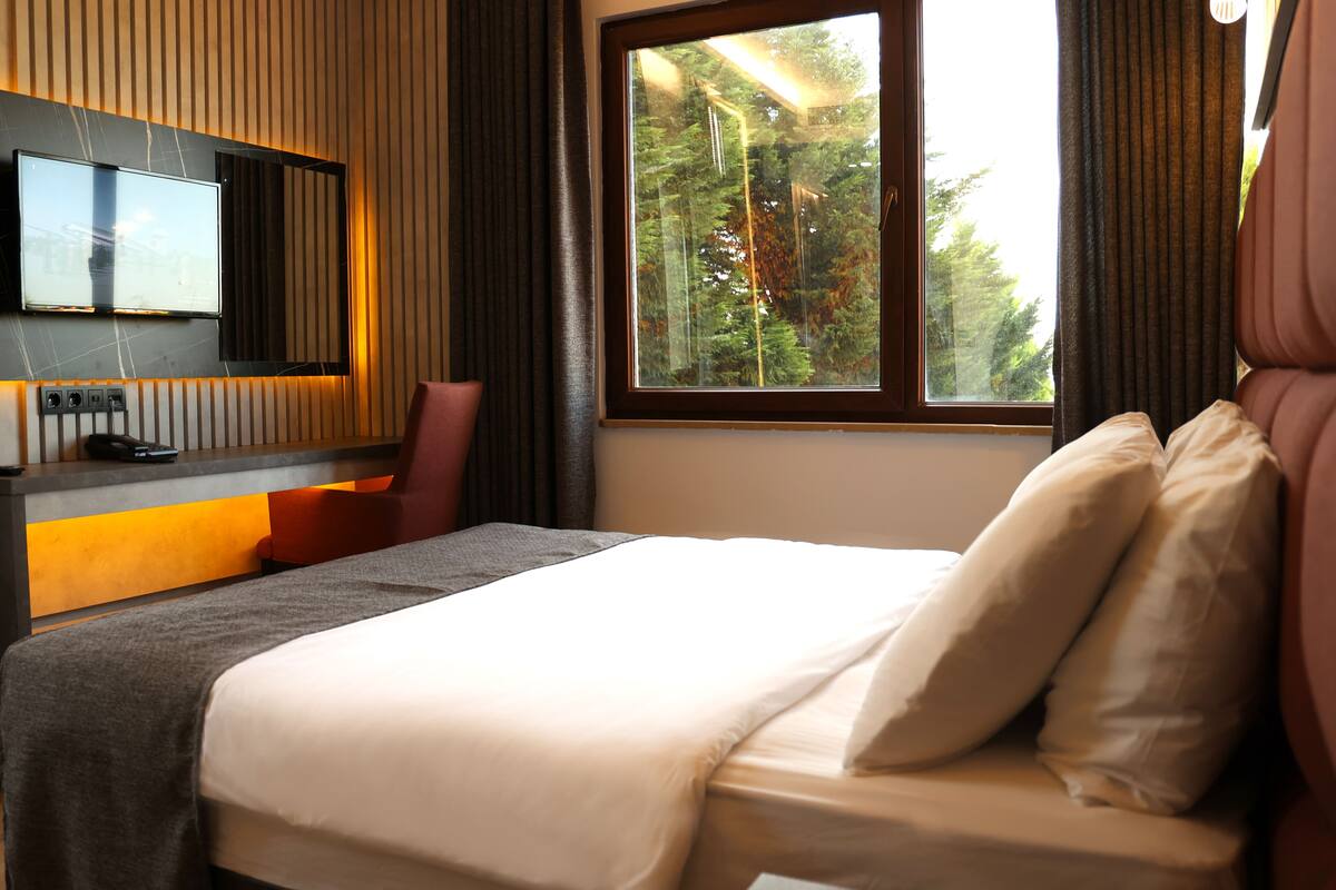 A hotel room with a bed, a TV mounted on the wall, a window with a view of trees, and a desk with a chair.