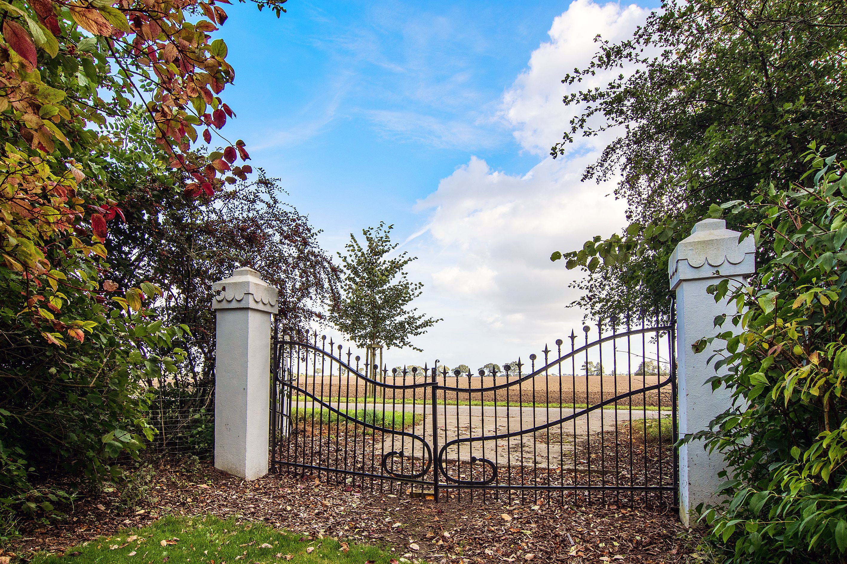A gated entrance with a metal gate and white pillars, surrounded by trees and a clear sky.