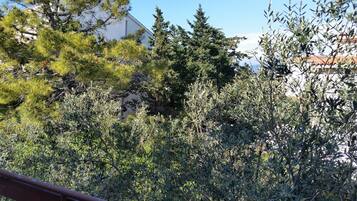 Vista desde la habitación