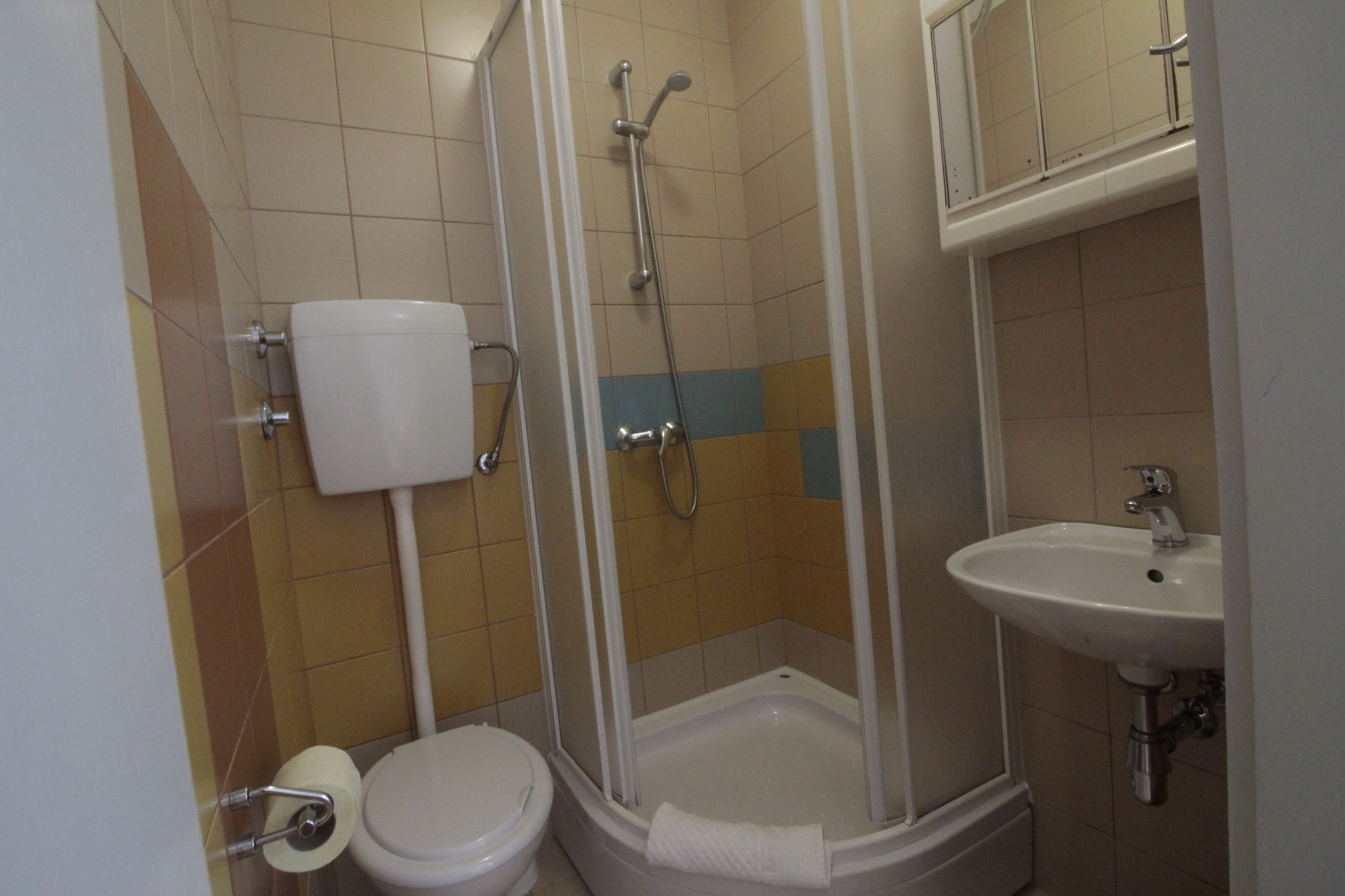 Een badkamer met een toilet, een douche en een wastafel.