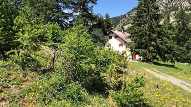 A white building with a red roof surrounded by dense green trees and a clear blue sky. - Rifugio La Capanna (Claviere)