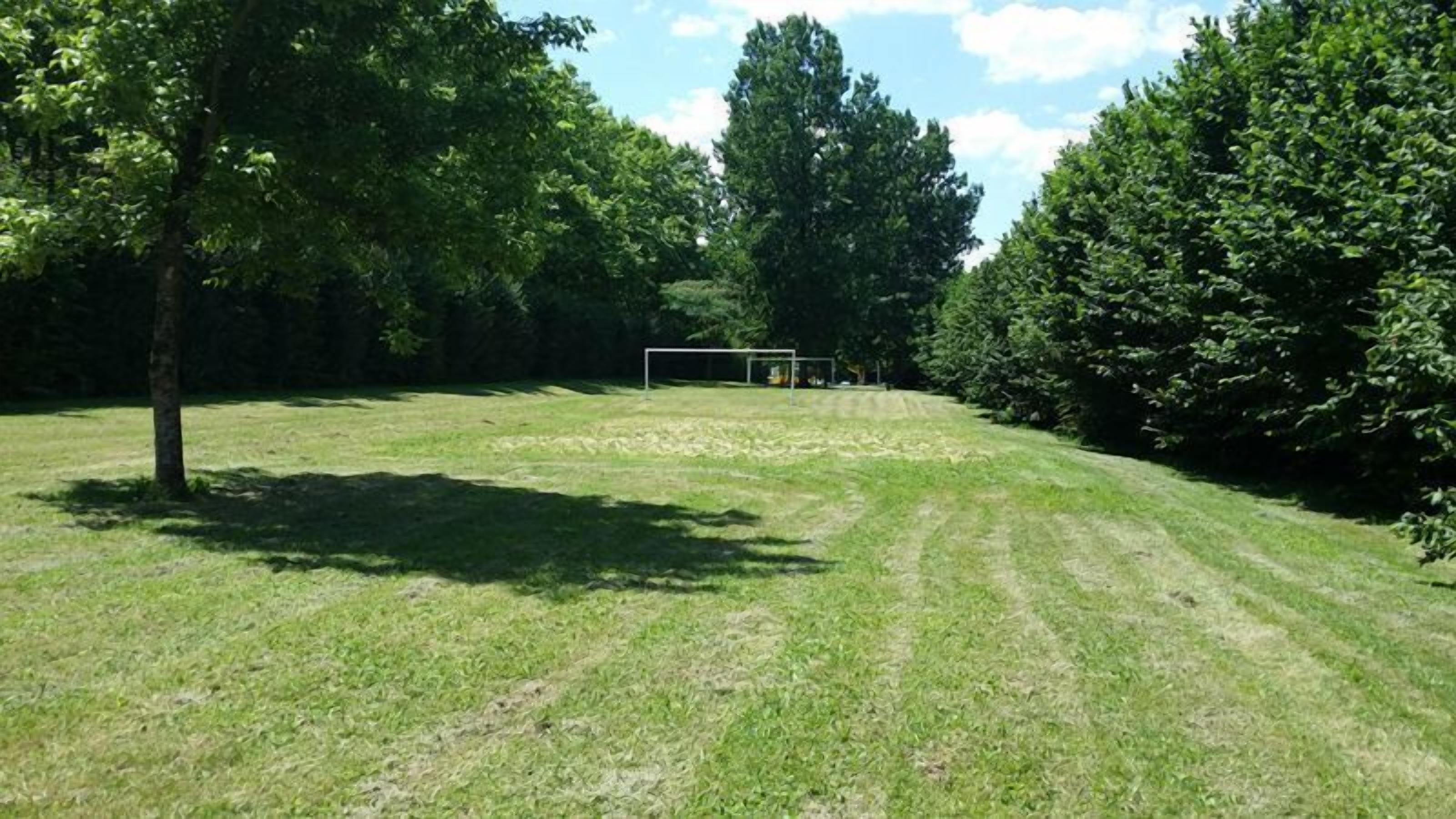 Un campo cubierto de hierba con un arco de fútbol, rodeado de árboles.