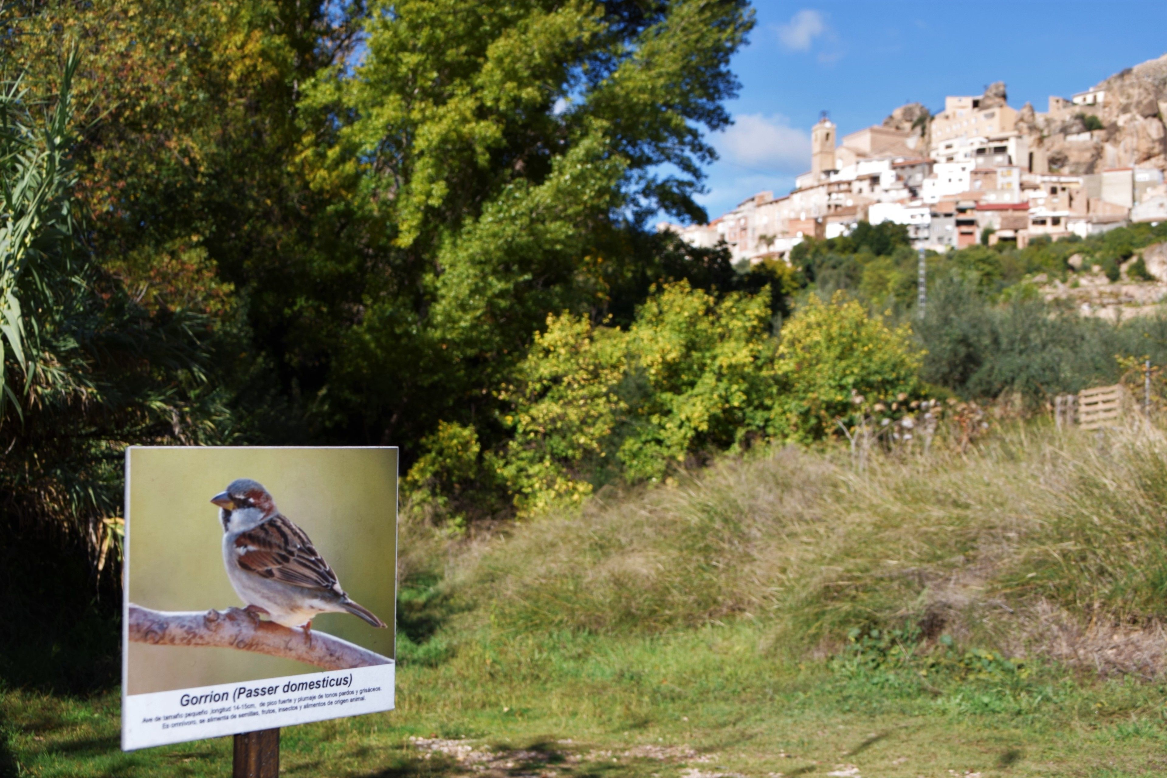 Un pájaro posado en un cartel con texto, rodeado de follaje y un pueblo montañoso al fondo.