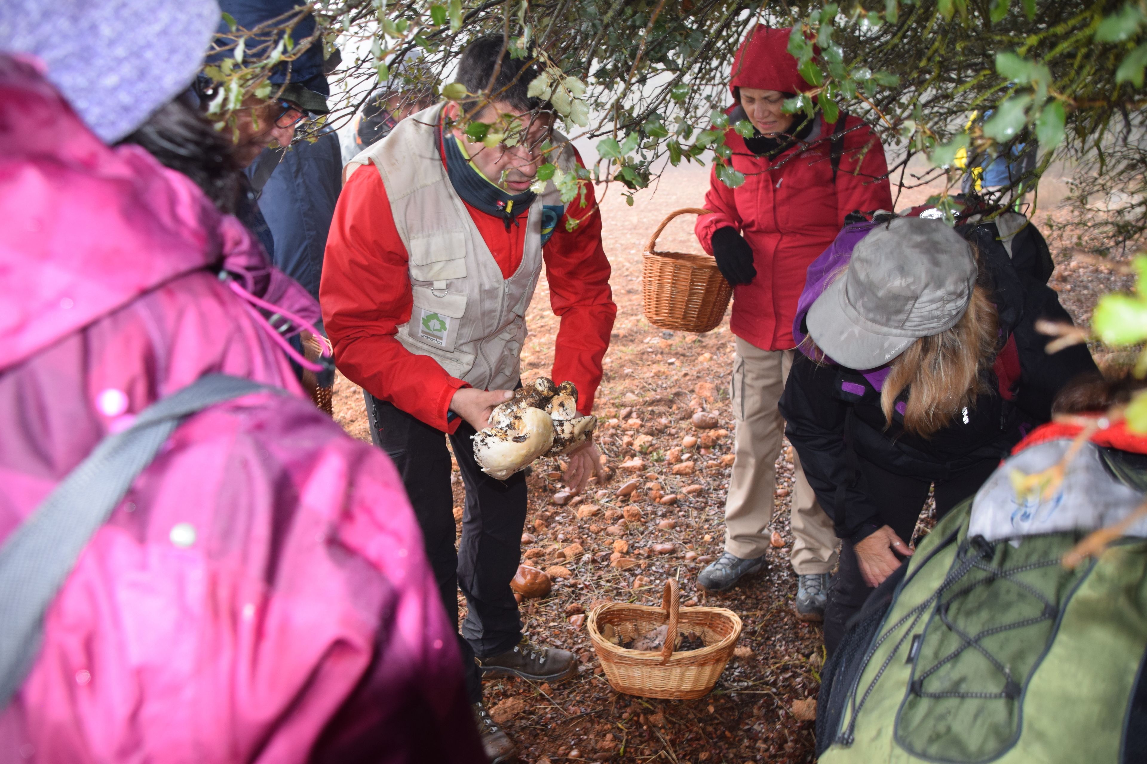 Un grupo de personas al aire libre, algunas con mochilas y chaquetas, reunidas alrededor de una cesta en el suelo.