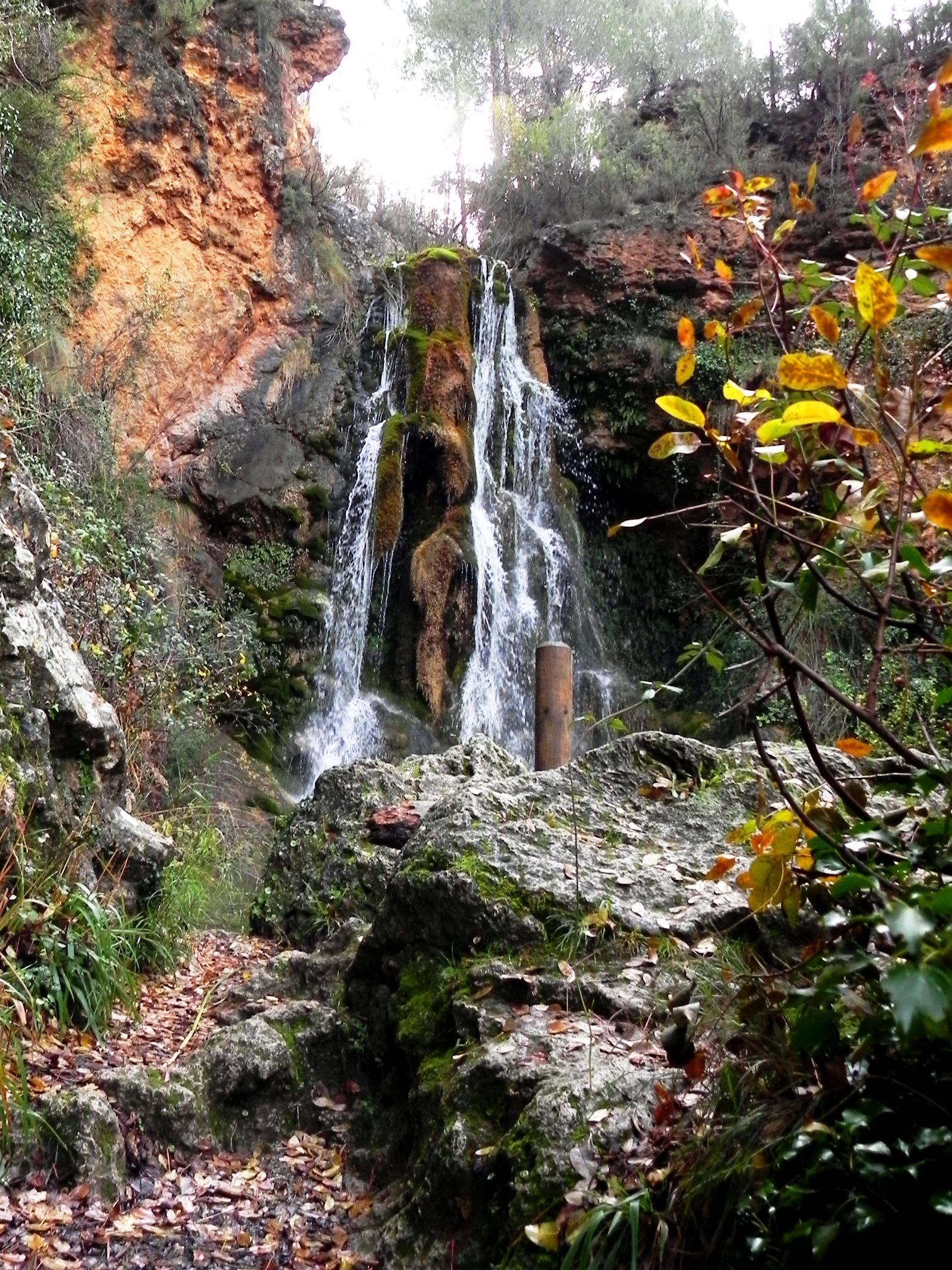 A waterfall cascading over a rocky cliff surrounded by foliage.