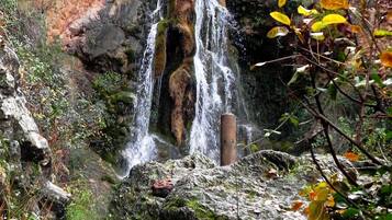 A waterfall cascading over a rocky cliff surrounded by foliage.