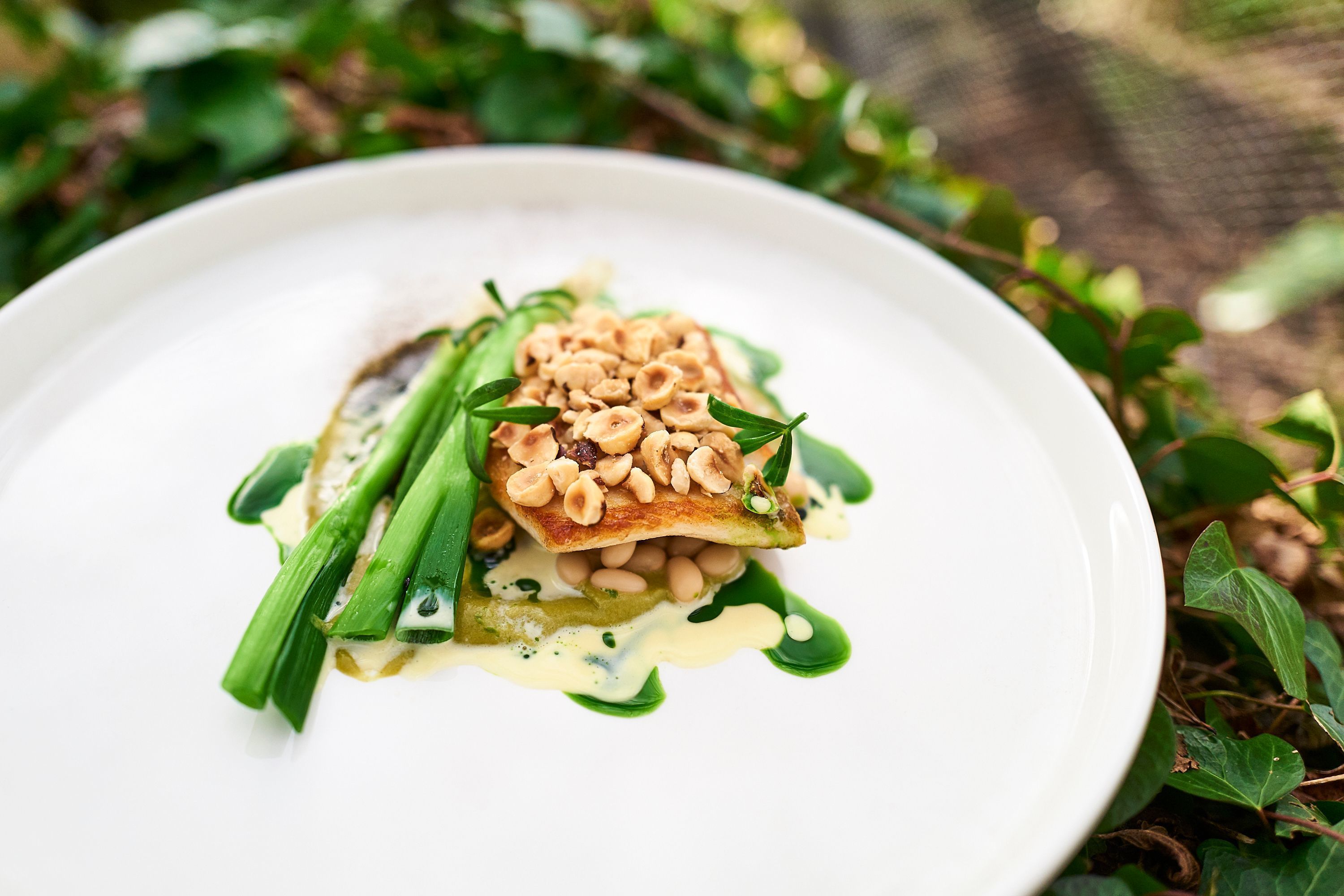 A white plate with a dish of food, including green vegetables and a creamy sauce.