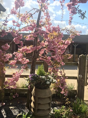 Property grounds - Bybrook Barn (Loughborough)
