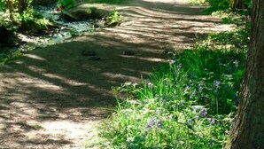 Property grounds - Bybrook Barn (Loughborough)