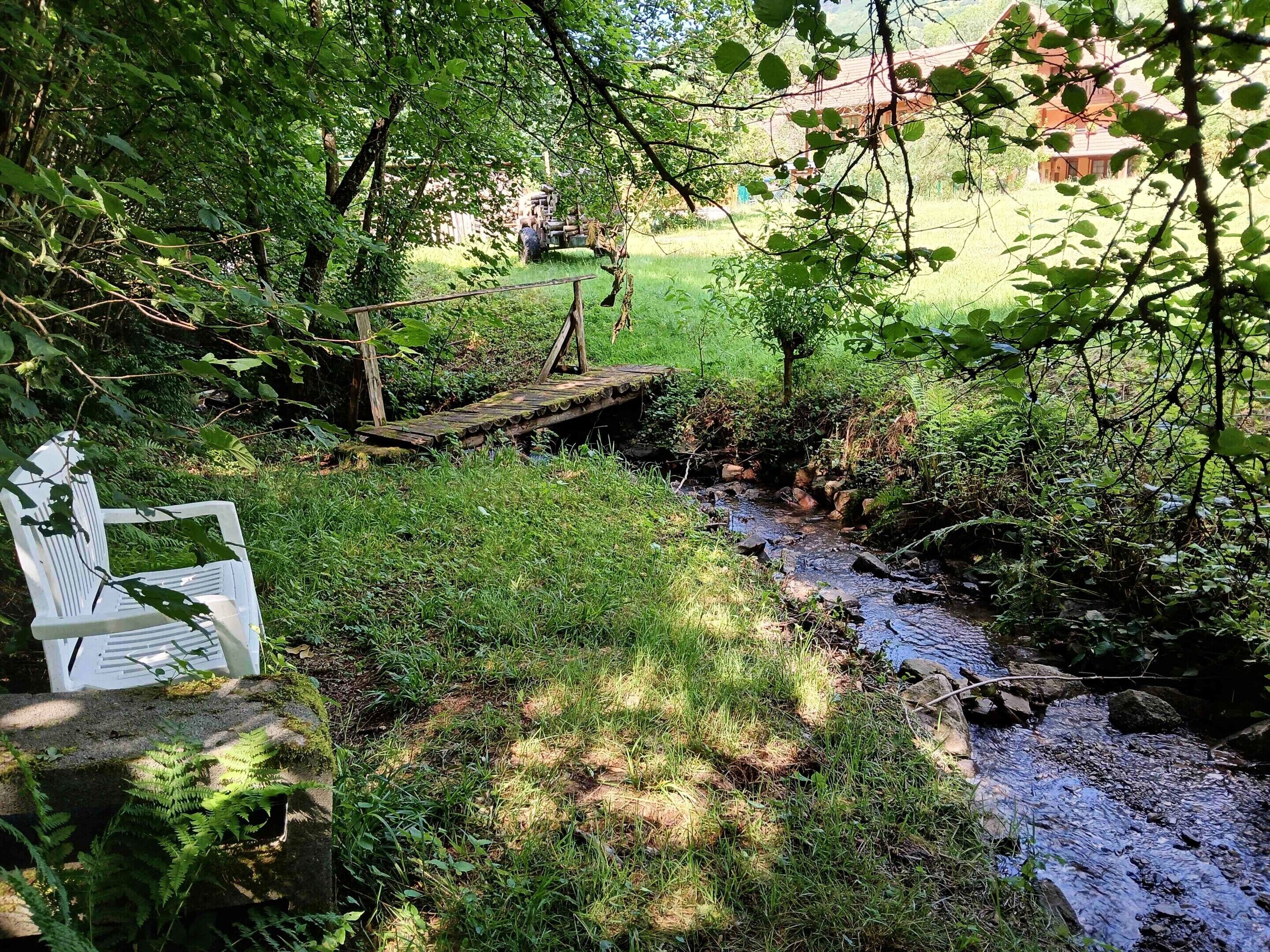 Un puente de madera rústico sobre un arroyo, rodeado de abundante vegetación y una silla blanca.